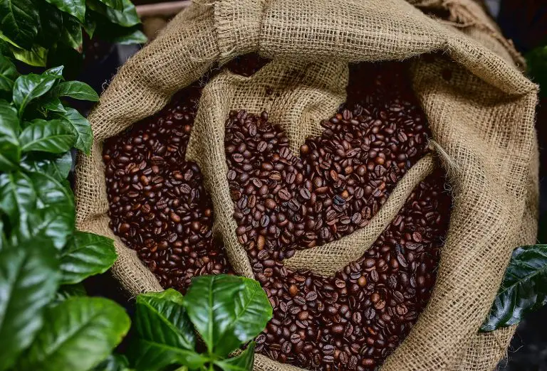 Image of roasted coffee beans in a sack