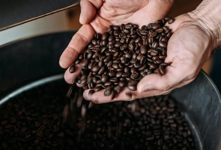 Image of coffee beans in open hands